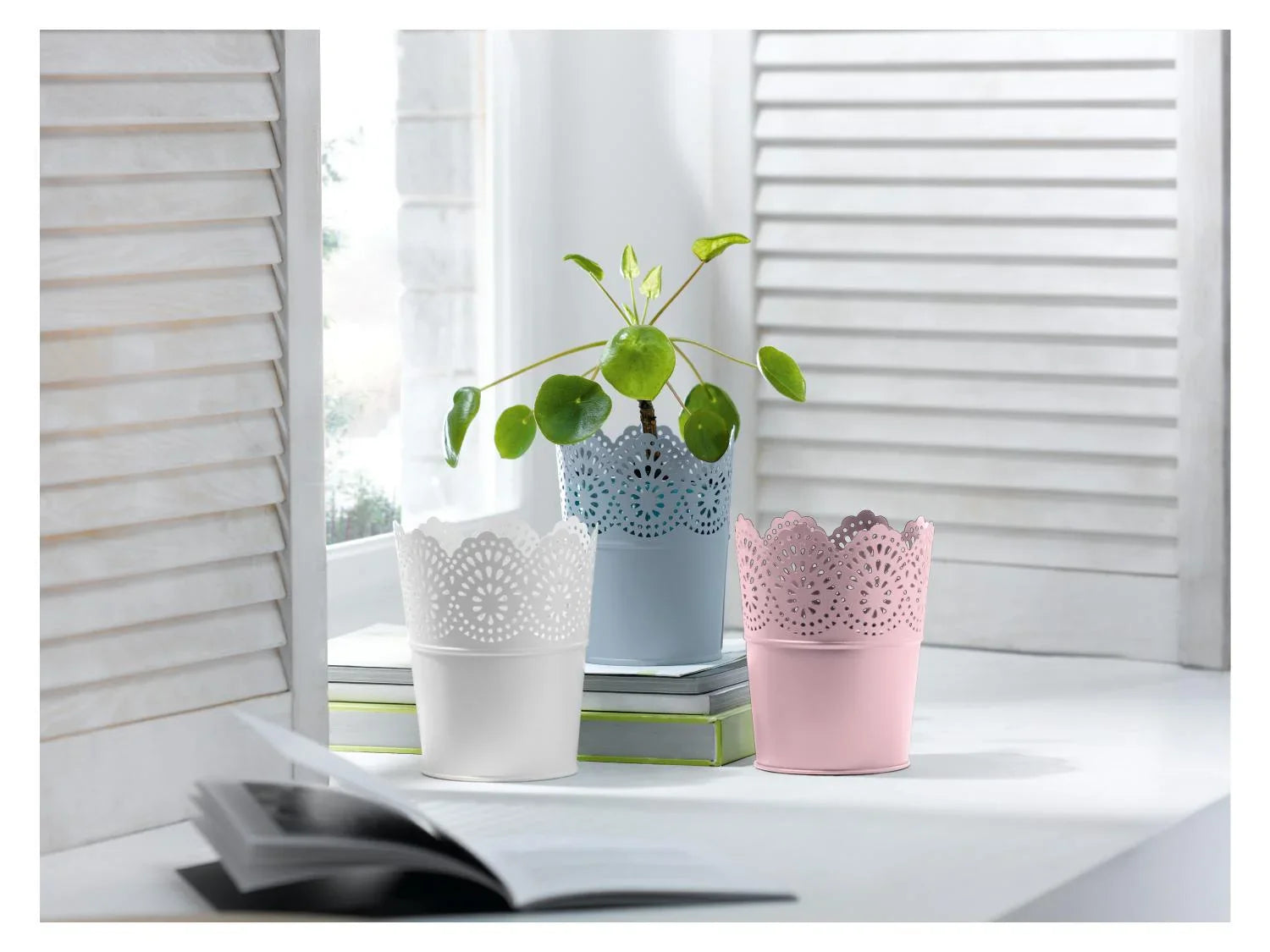 LIVARNO home Cache-pot en mtal