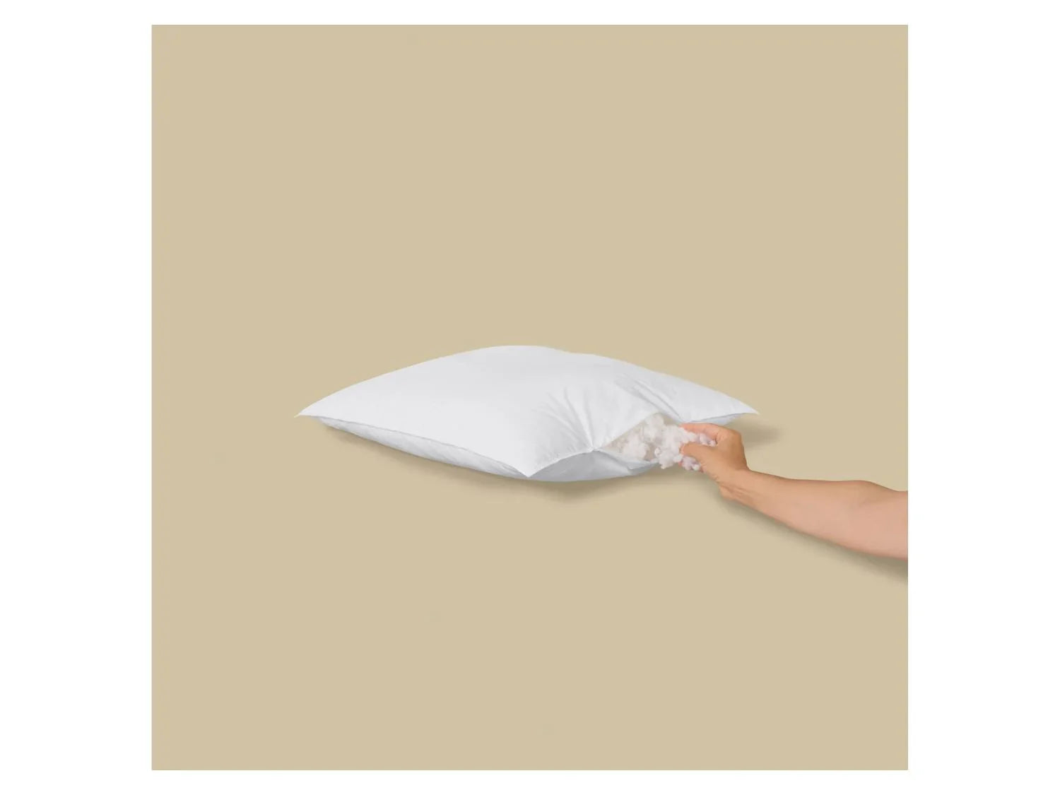 LIVARNO Oreiller, 50 x 70 cm