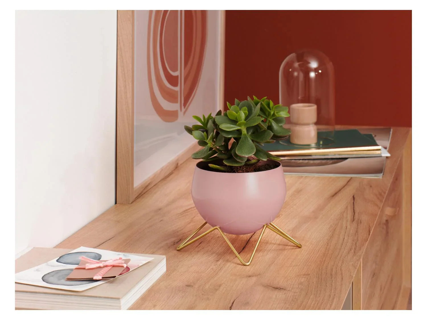 LIVARNO home Pot(s) de fleurs dcoratif(s)