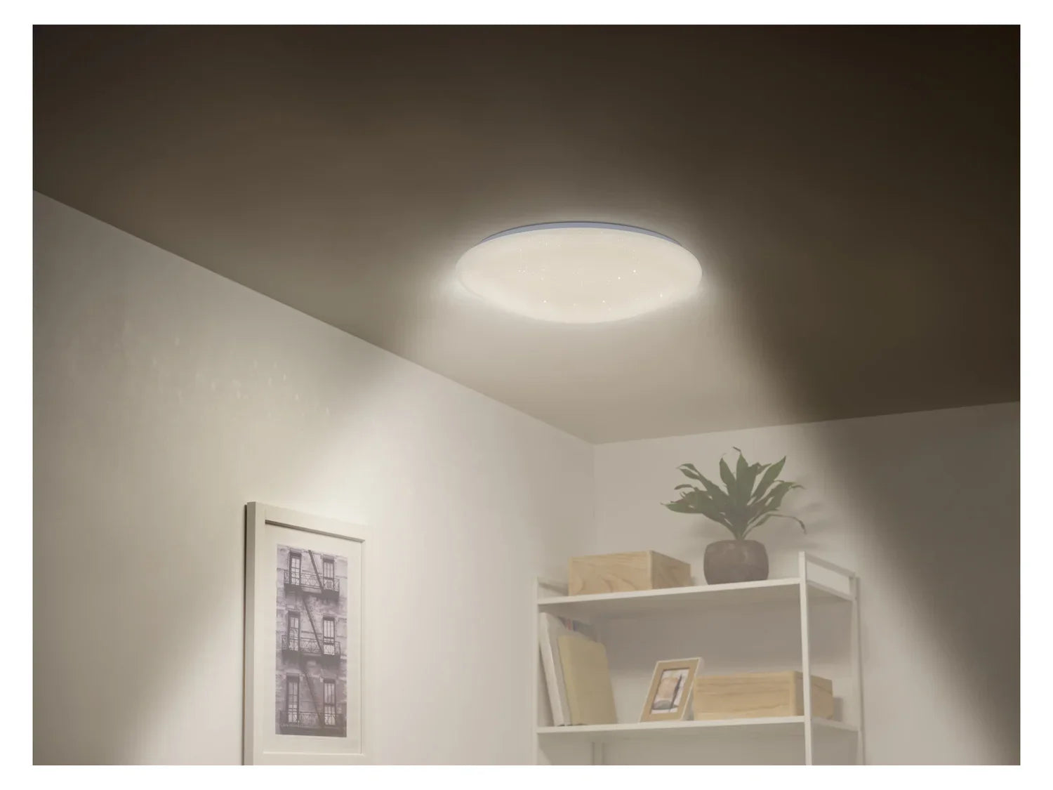 LIVARNO home Plafonnier  LED  variateur de blanc