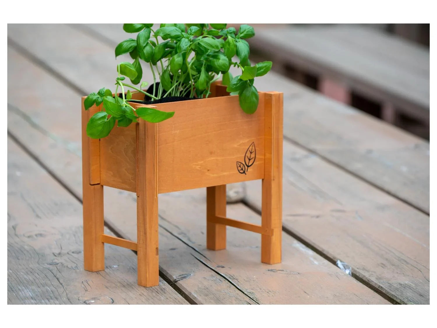 dobar Parterre surlev pour herbes, 24 x 14 x 24 cm