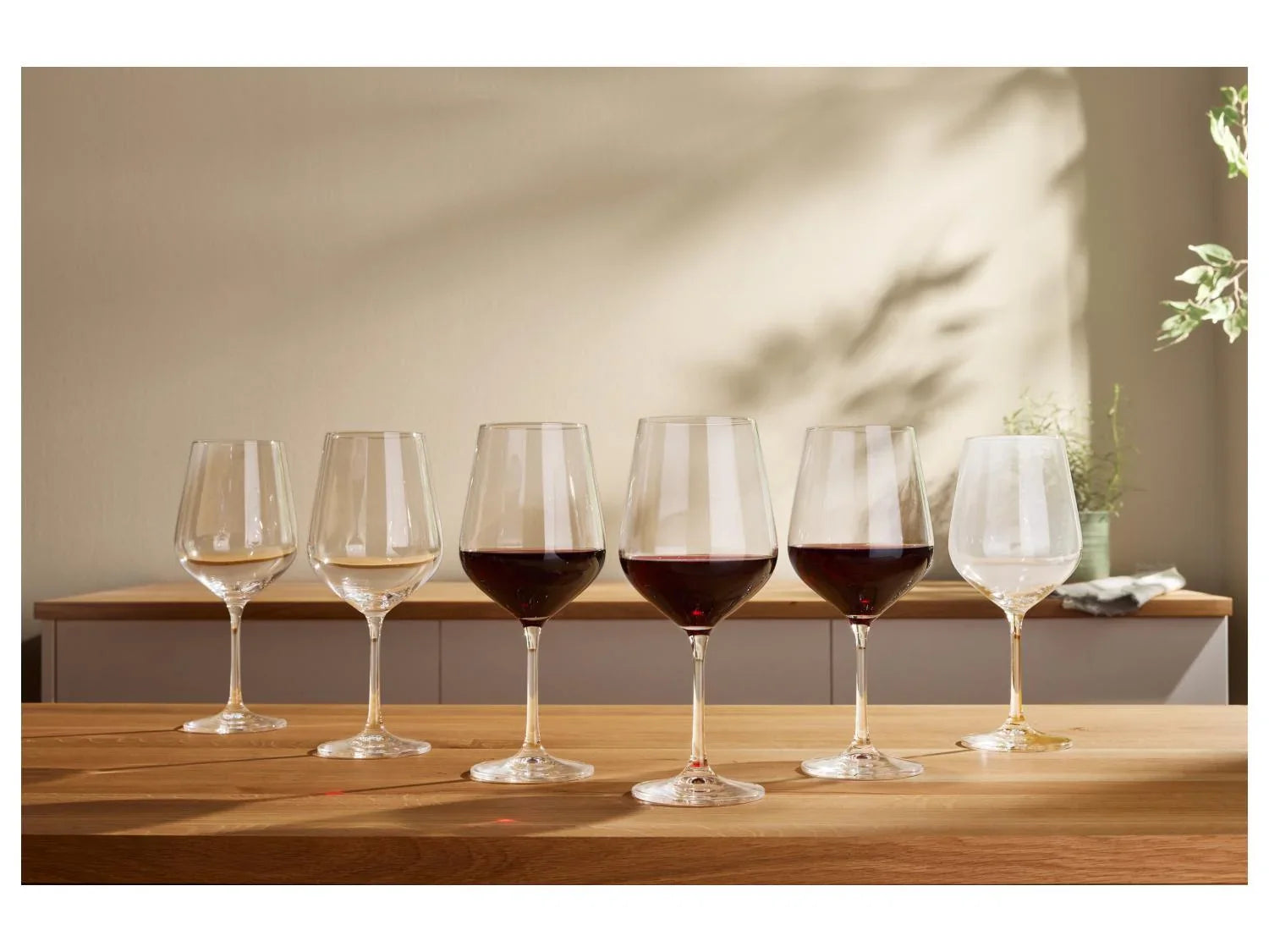 SILVERCREST Verres  vin ou fltes  champagne