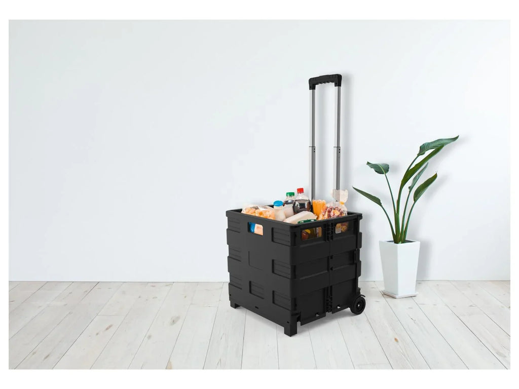 LIVARNO home Caisse de transport  roulettes