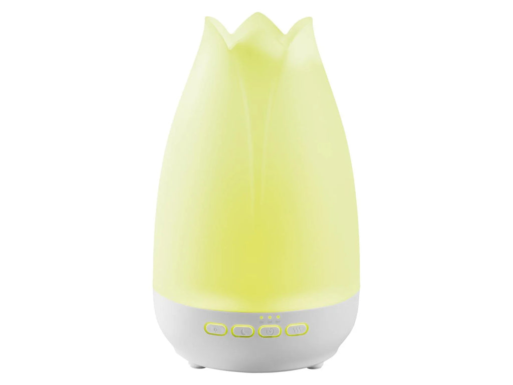 LIVARNO Diffuseur de brume  ultrasons
