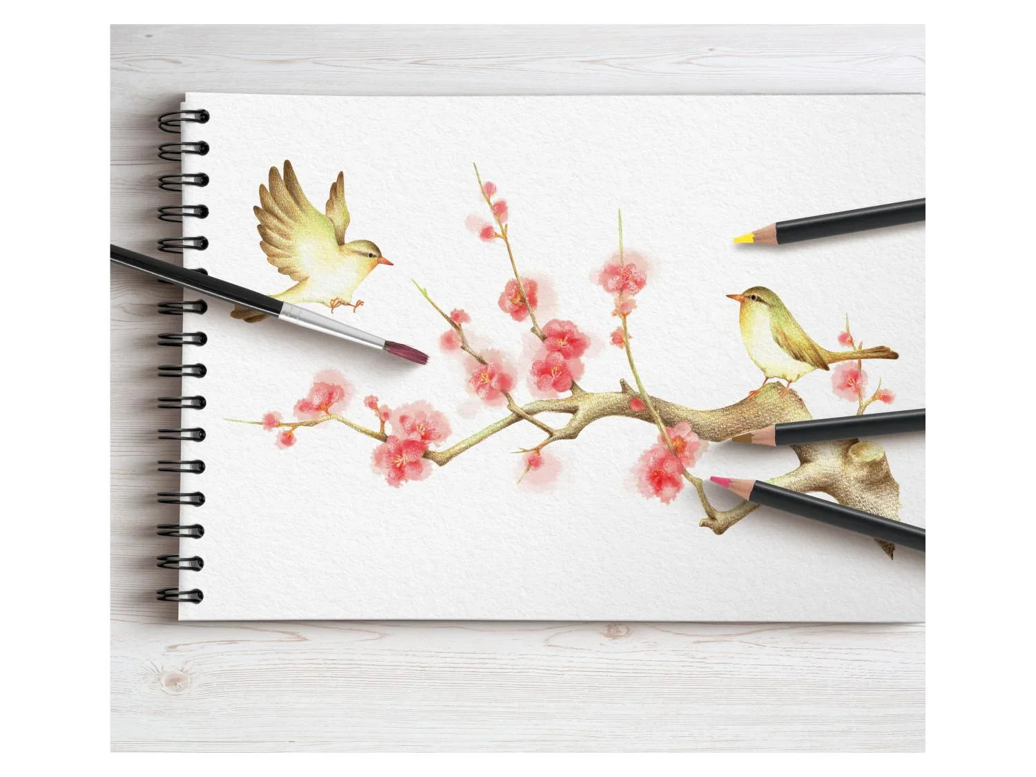 crelando Crayons de couleur ou Crayons de couleur aquarelle
