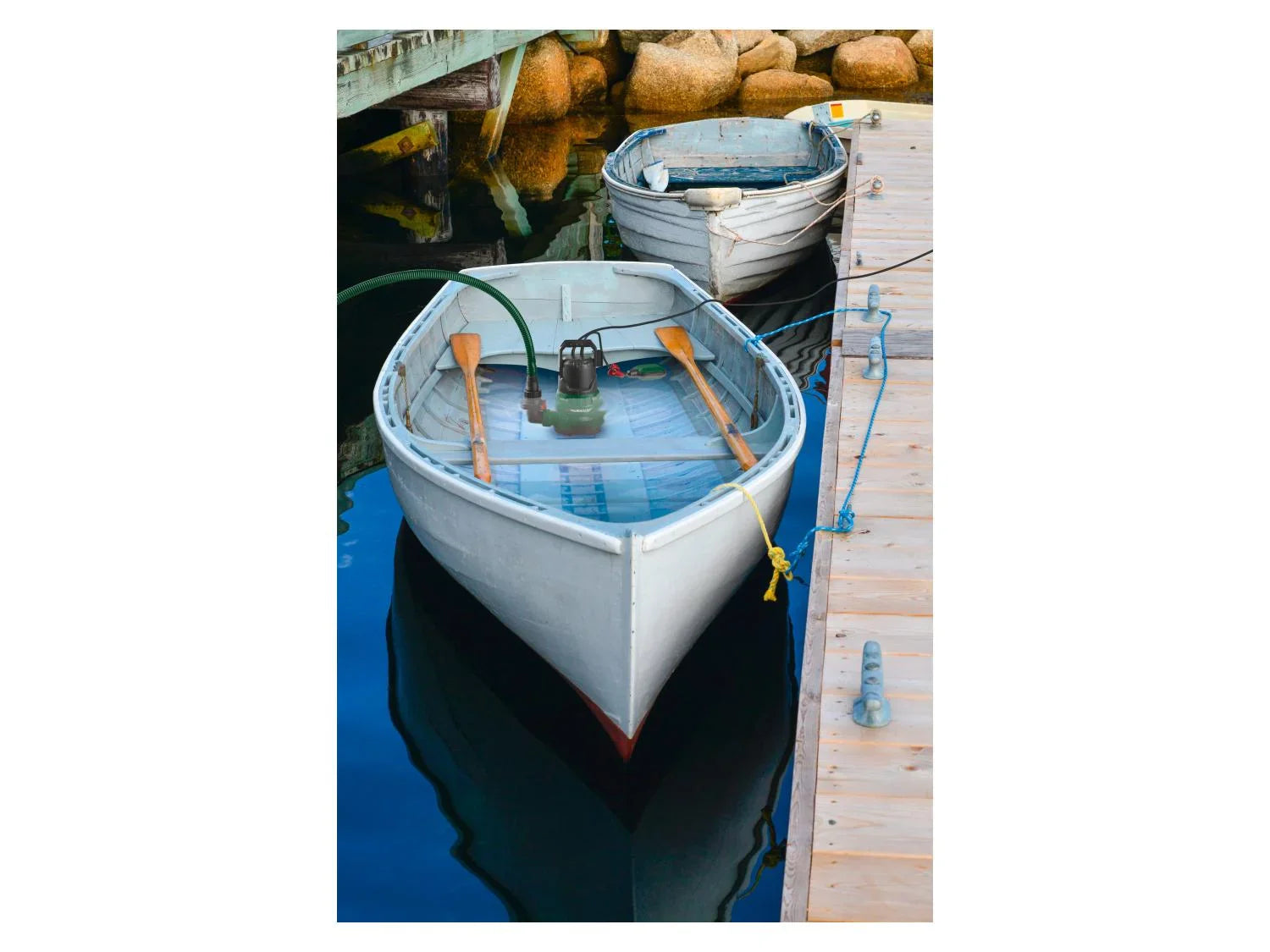 PARKSIDE Pompe  eau claire immerge PETPK 400 B2, 10000 L/h