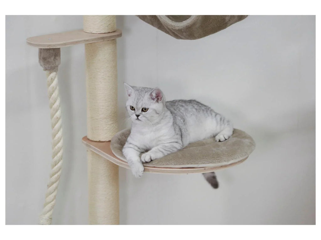 Kerbl Pet Arbre  chat mural Dolomit Grappa