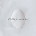 Wilco: A Ghost Is Born
