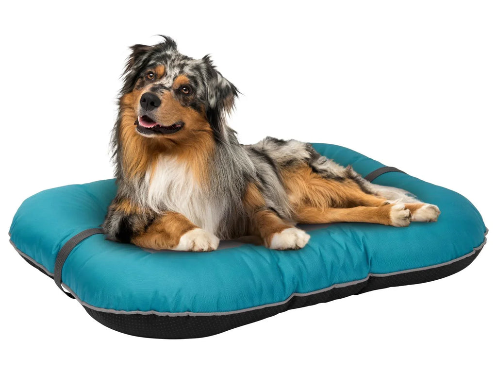 zoofari Panier dextrieur pour chien