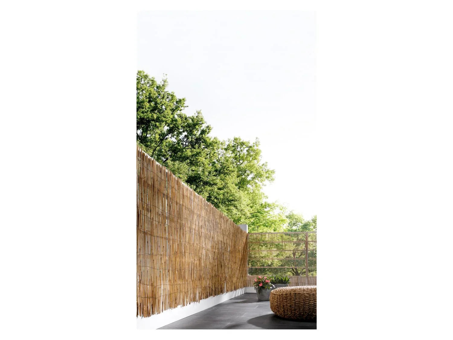 LIVARNO home Brise-vue en roseau