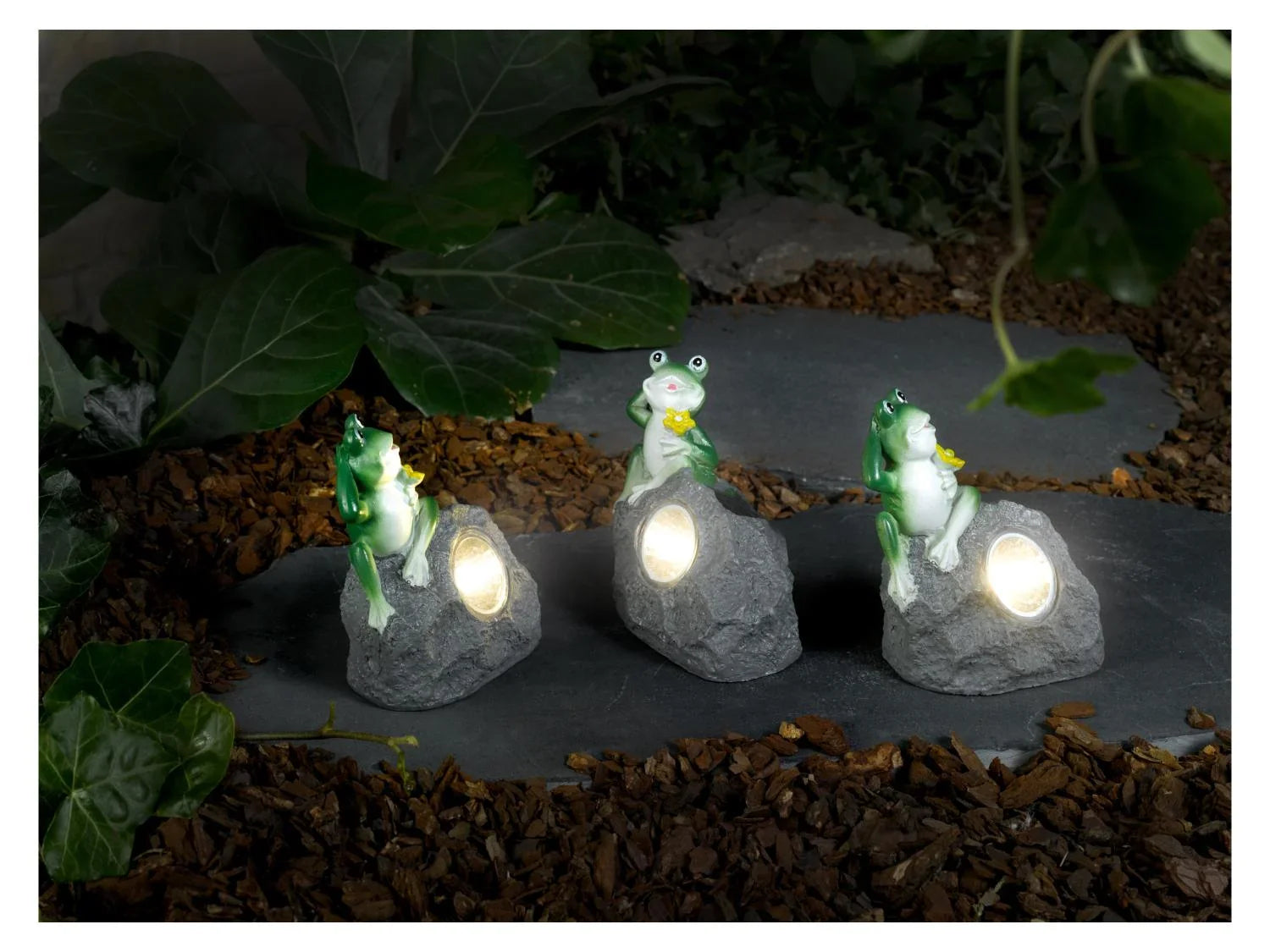 LIVARNO home Lampes solaires  LED