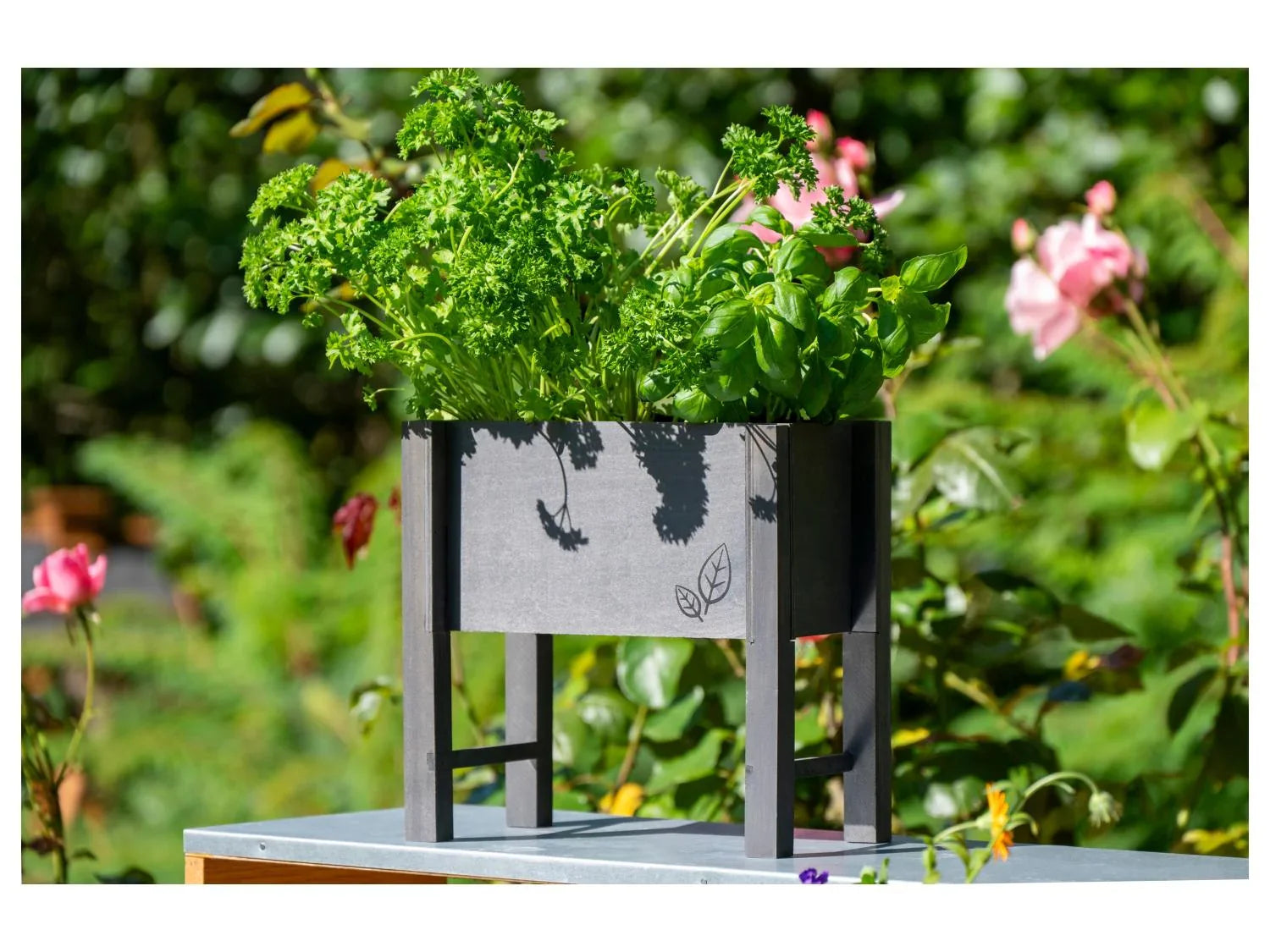dobar Parterre surlev pour herbes, 24 x 14 x 24 cm