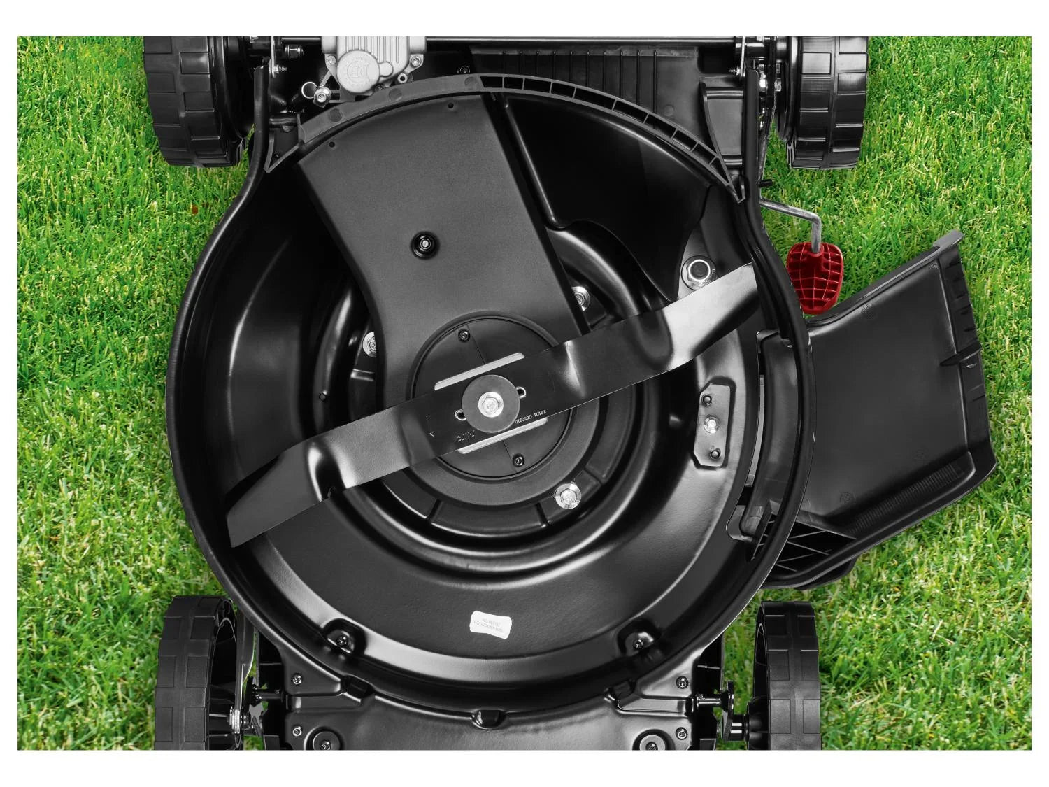 PARKSIDE PERFORMANCE Tondeuse thermique PPBRM 46 B2, 1000 m, 60 L