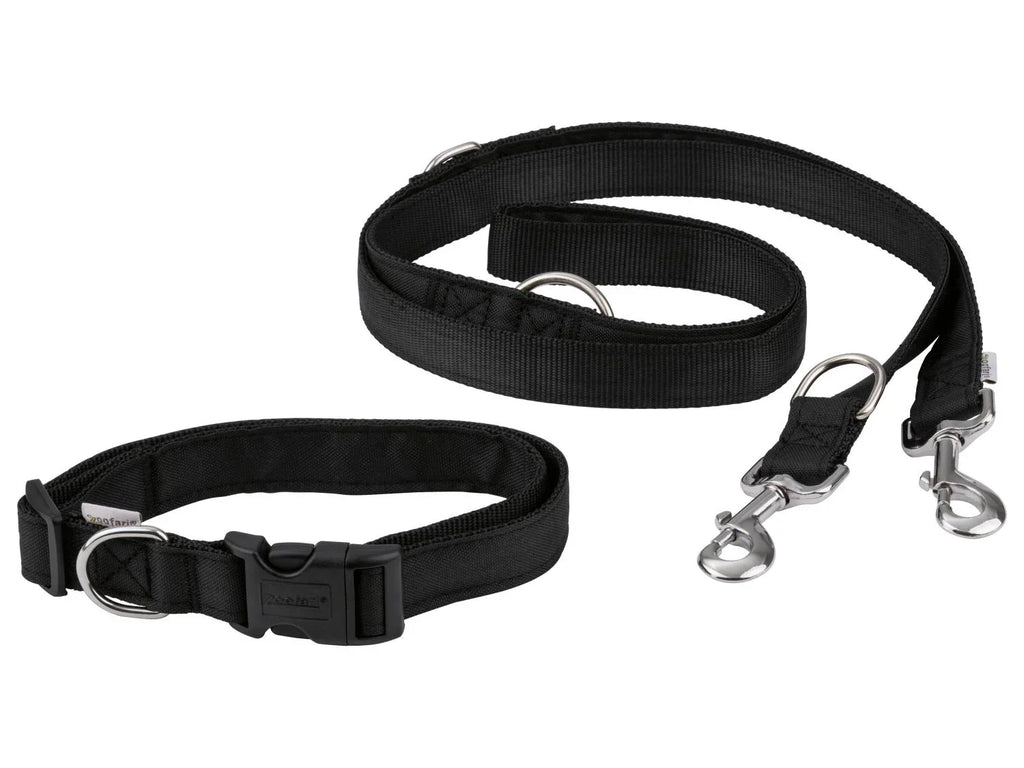 zoofari Laisse ou Collier avec laisse pour chien