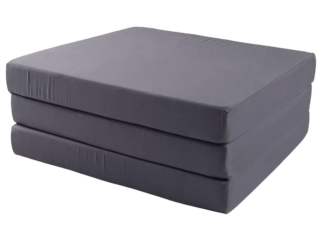 LIVARNO Matelas pliant 2-en-1, 190 x 65 cm