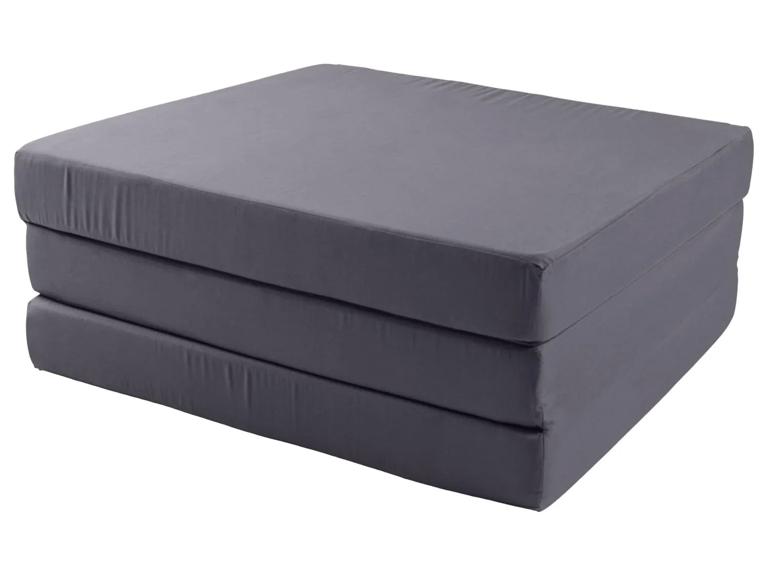 LIVARNO Matelas pliant 2-en-1, 190 x 65 cm