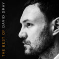 GRAY,DAVID - THE BEST OF DAVID GRAY Vinyl LP