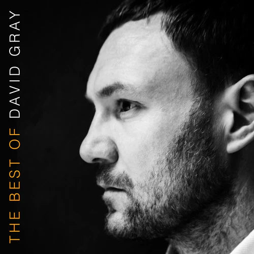 GRAY,DAVID - THE BEST OF DAVID GRAY Vinyl LP