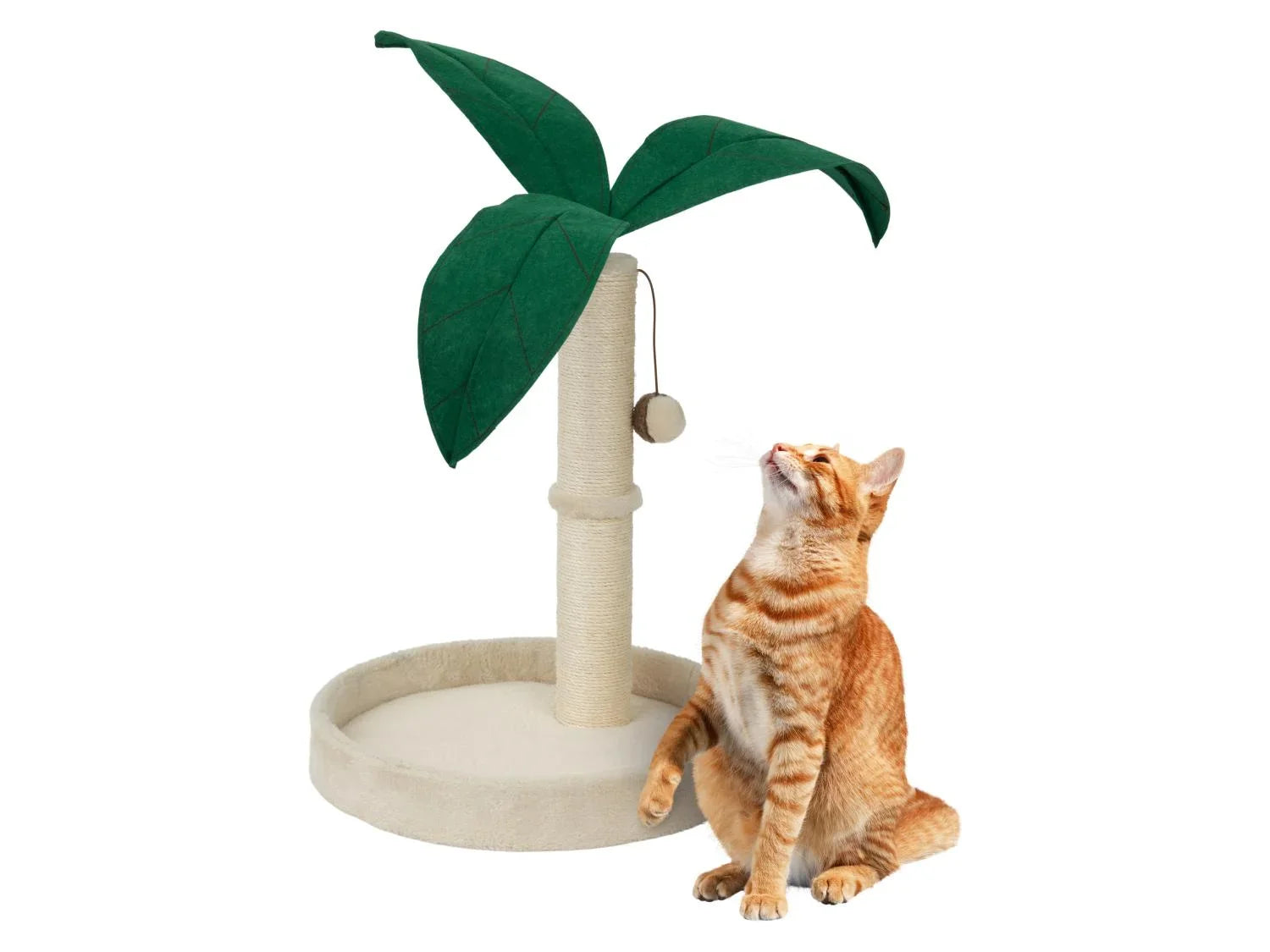 zoofari Griffoir palmier, Hamac ou Tipi pour animal domestique