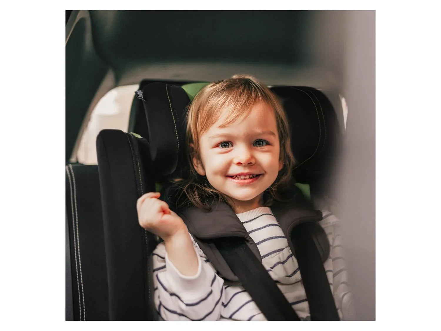 BabyGO Sige auto Freemove I-Size