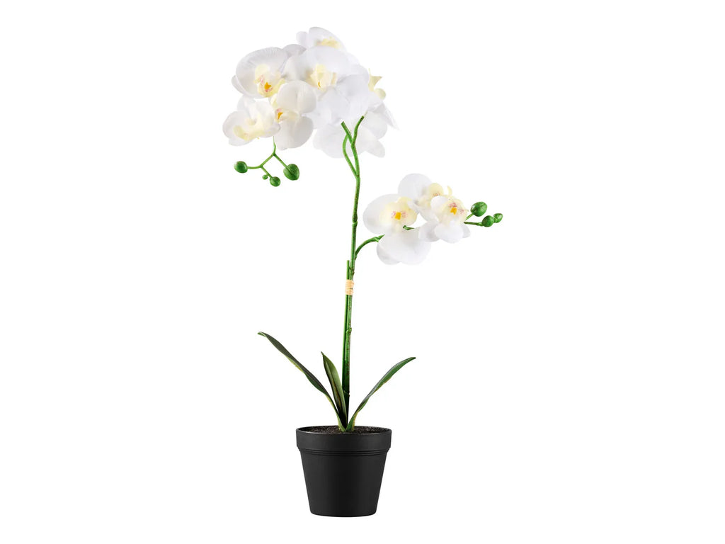 LIVARNO home Plante artificielle