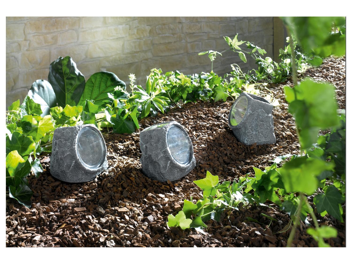 LIVARNO home Lampes solaires  LED