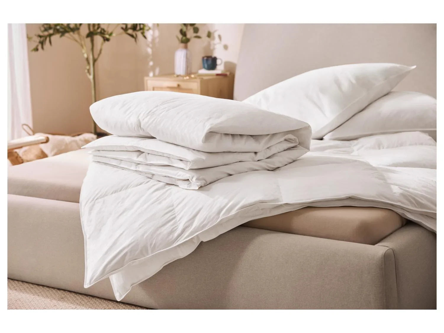 LIVARNO Oreiller avec rembourrage en plumes et duvet