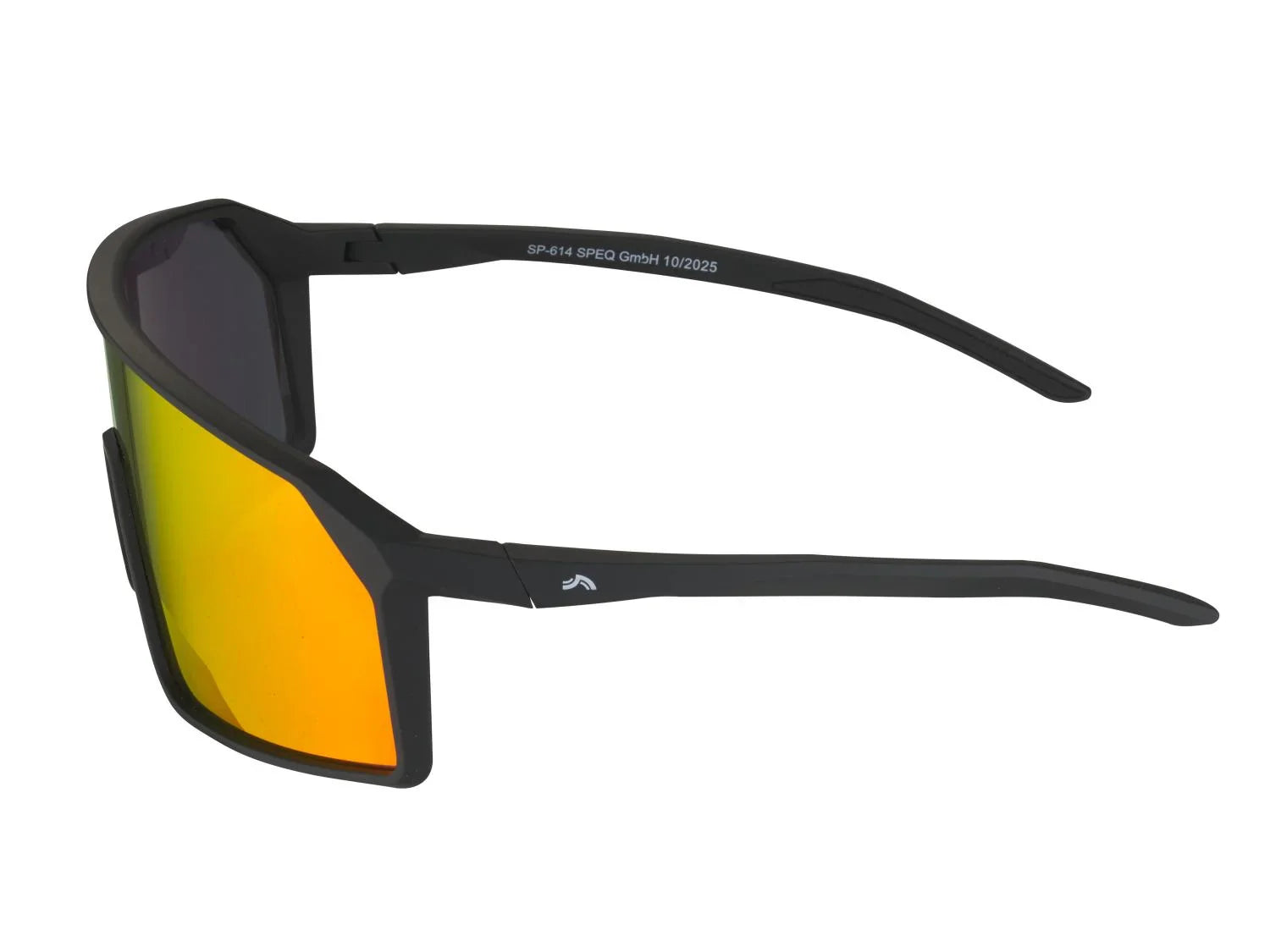 CRIVIT Lunettes de sport Premium