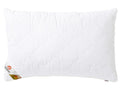 LIVARNO home Oreiller Polygiene, 50x 70 cm