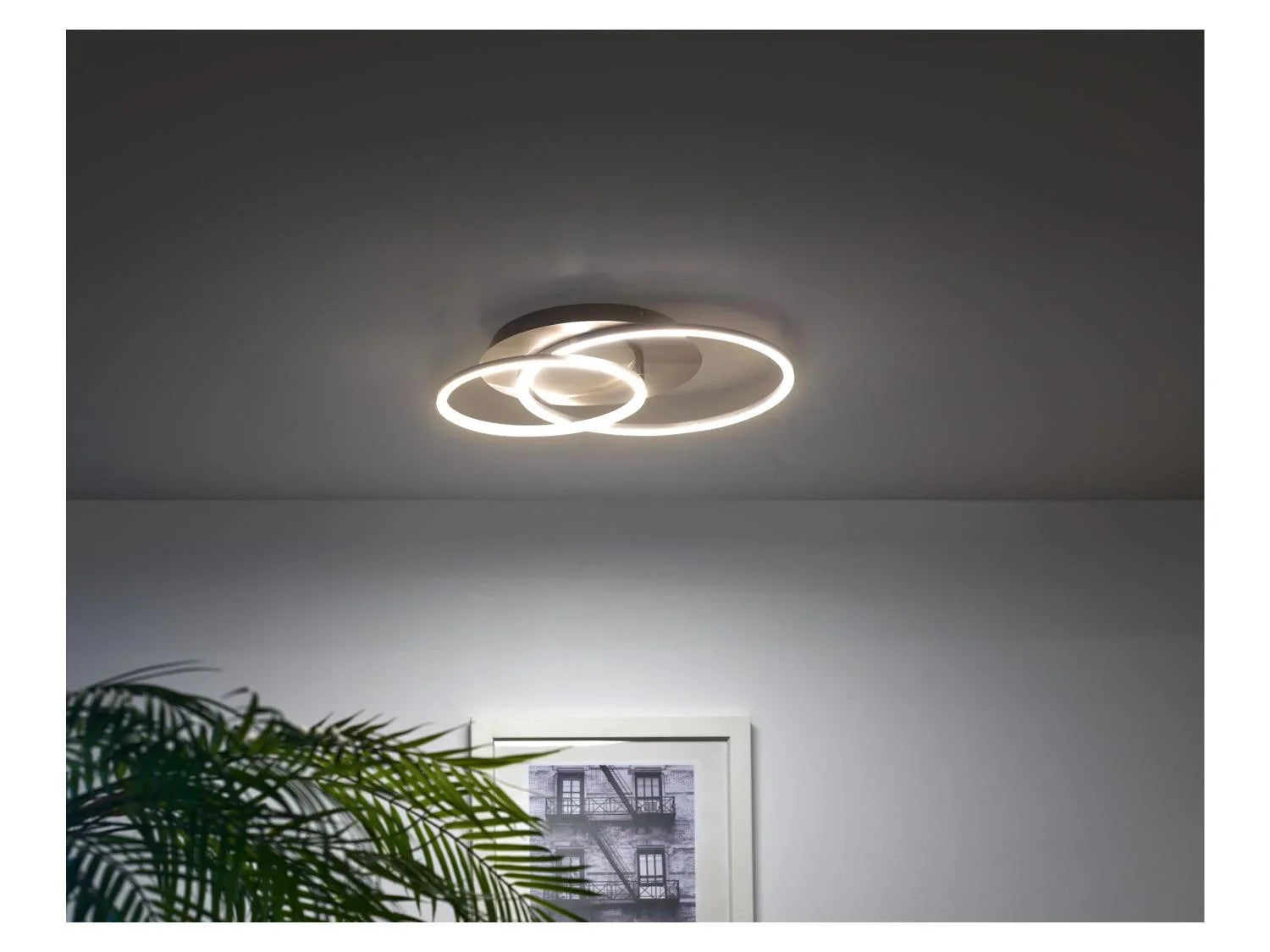 LIVARNO home Plafonnier ou applique murale  LED
