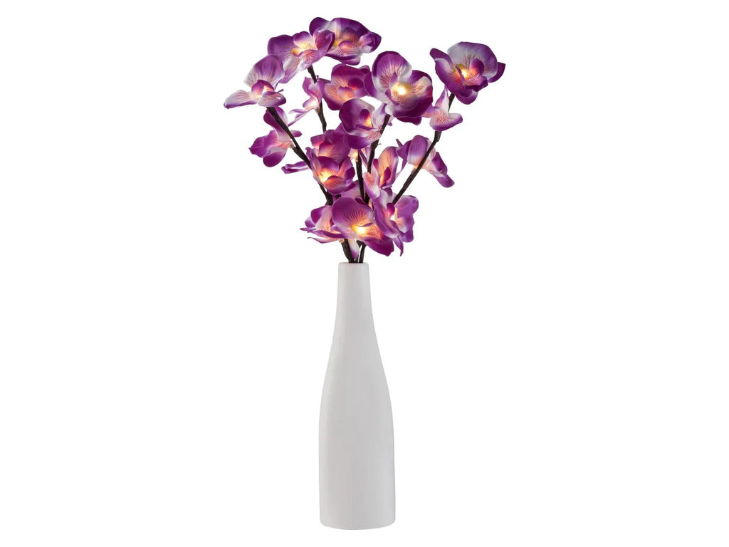 LIVARNO Vase dcoratif avec branches lumineuses LED