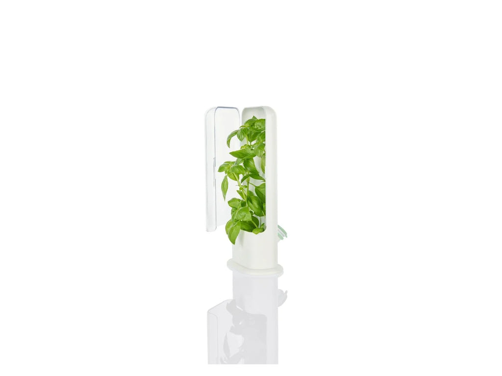 LIVARNO home Bote(s) fracheur pour herbes aromatiques