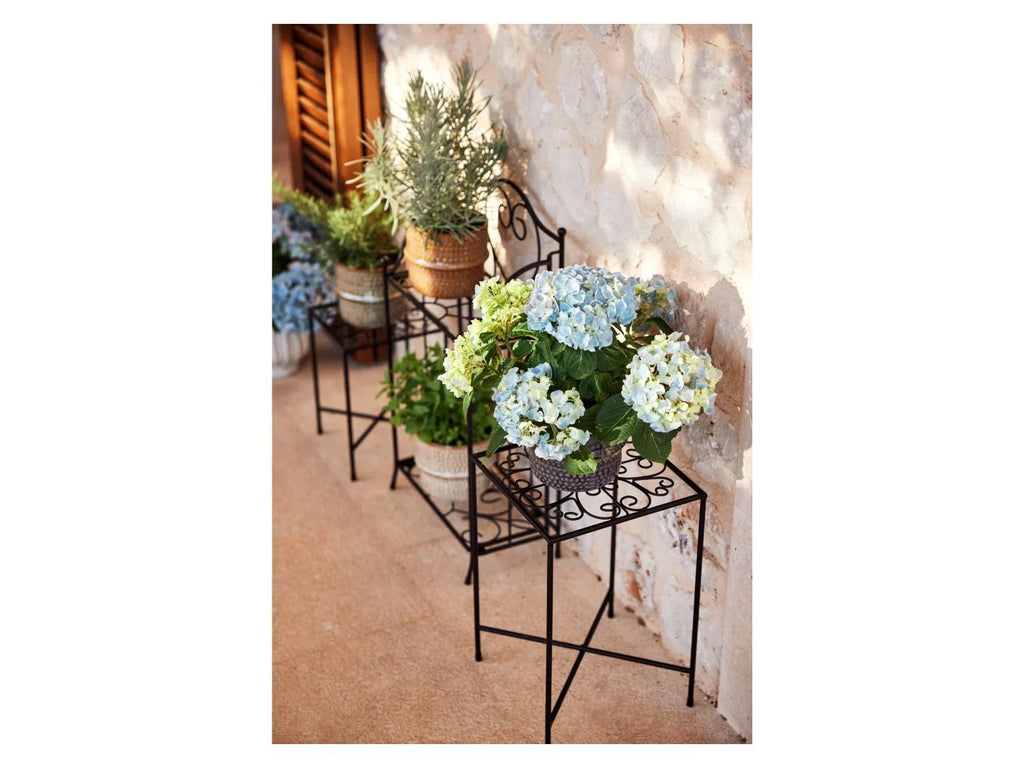 LIVARNO home tagre pour plantes ou supports pour plantes