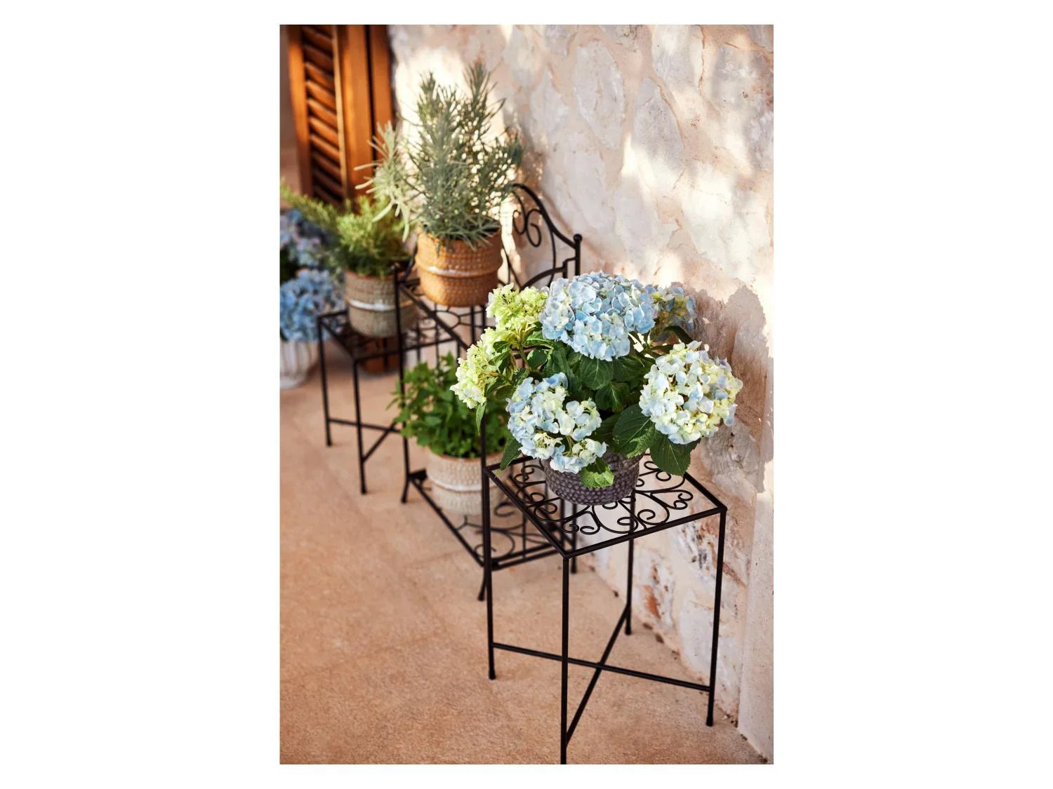 LIVARNO home tagre pour plantes ou supports pour plantes