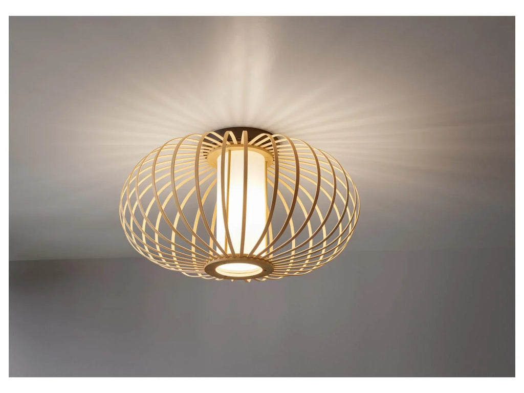 LIVARNO home Plafonnier ou lampe de table  LED