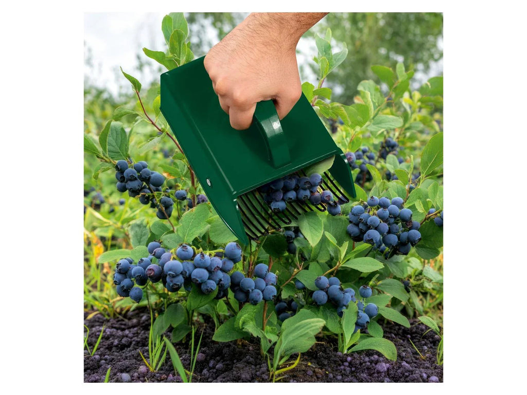 PARKSIDE Accessoire de jardin