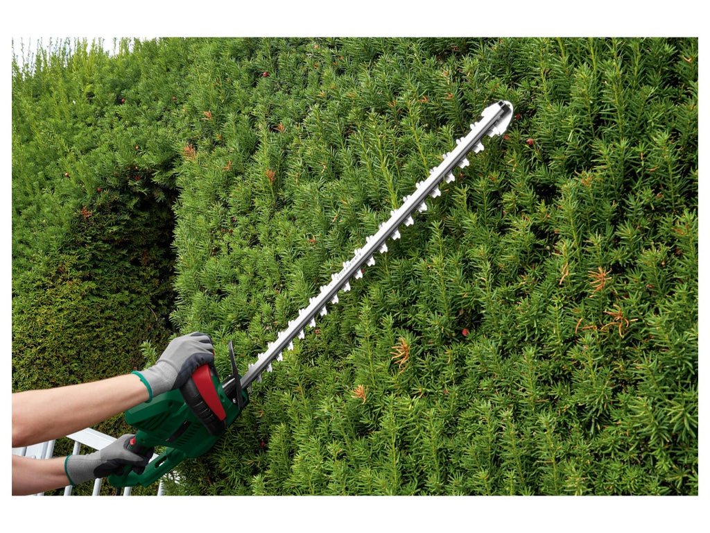 PARKSIDE Taille-haies lectrique PEHS 650 A1