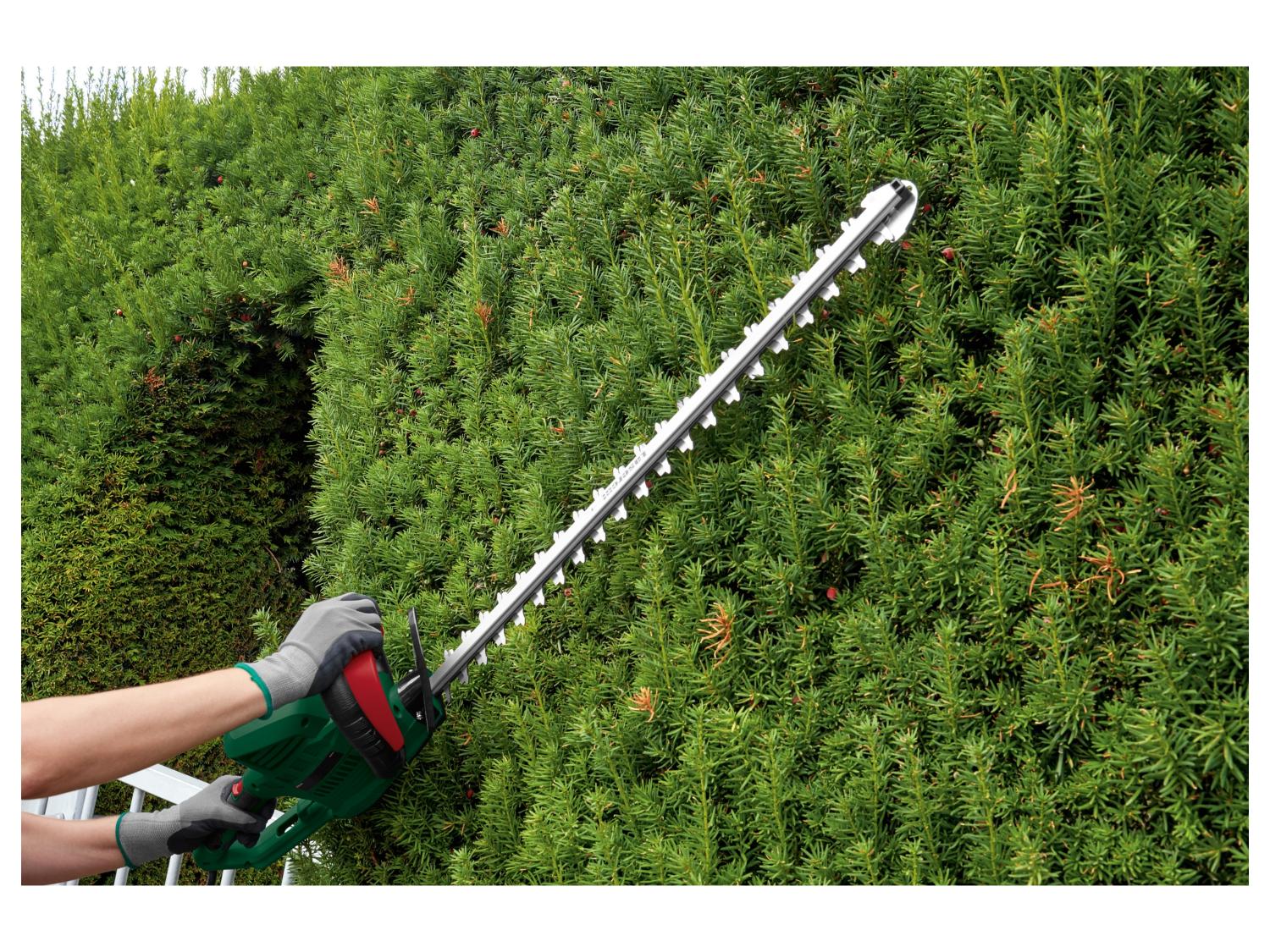 PARKSIDE Taille-haies lectrique PEHS 650 A1