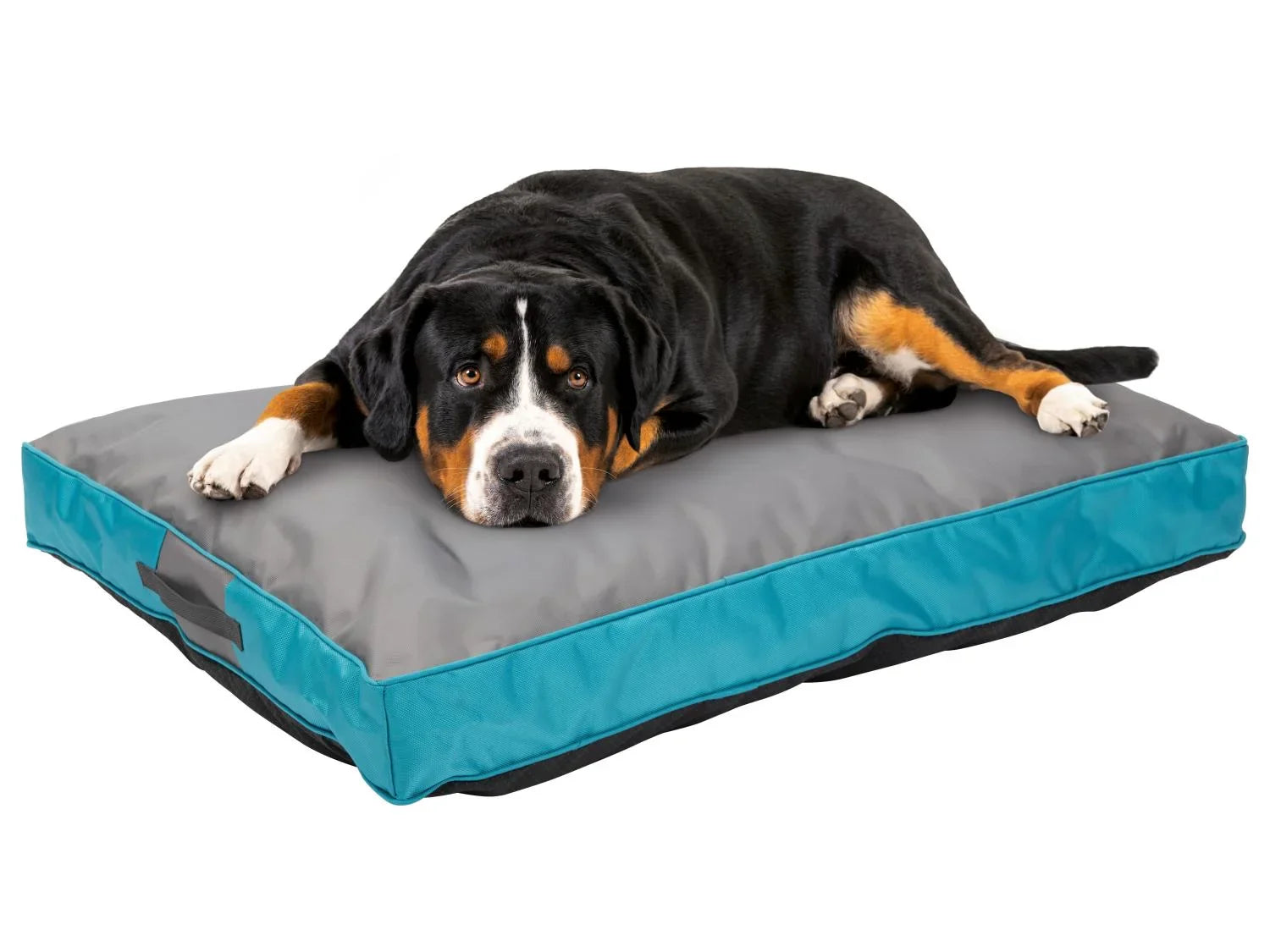 zoofari Panier dextrieur pour chien