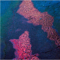 SHIN HAE GYEONG - [나의 가역 반응] Transparent LP