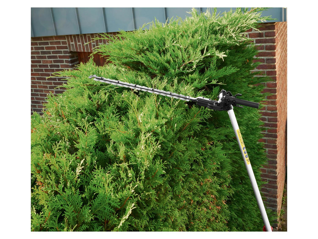PARKSIDE Outil modulable  essence PBK 4 D5