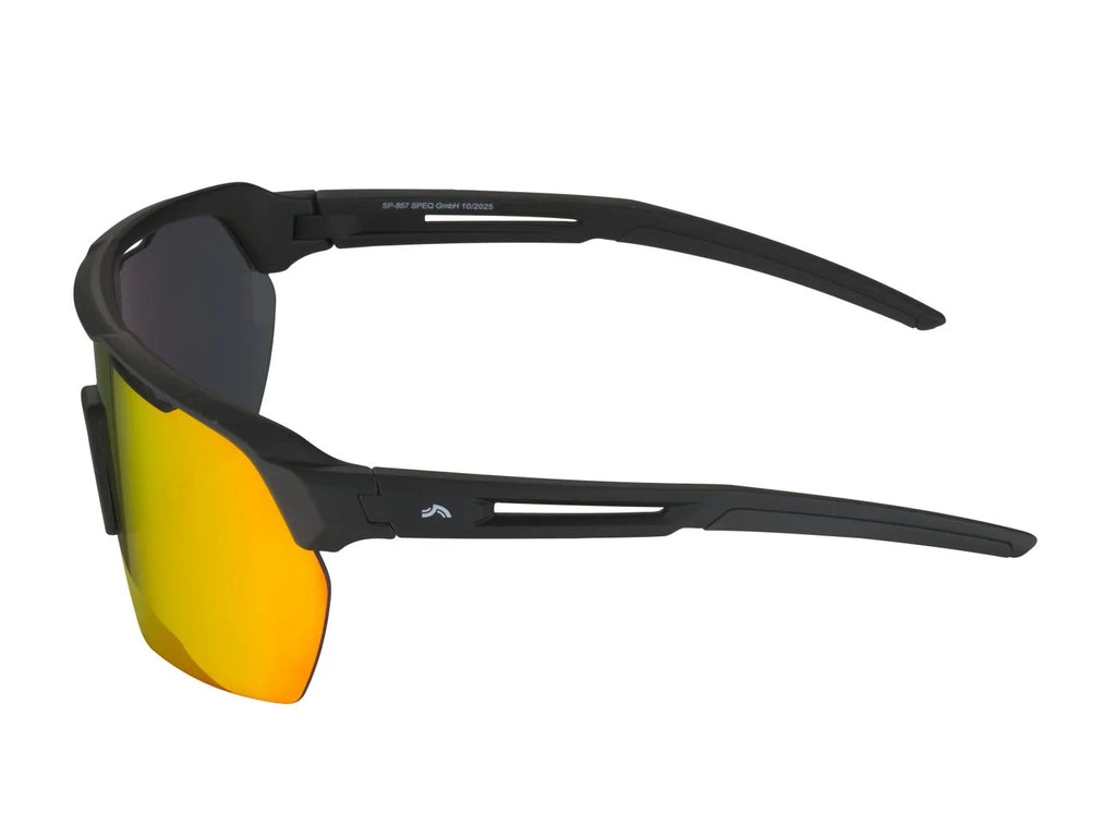 CRIVIT Lunettes de sport Premium
