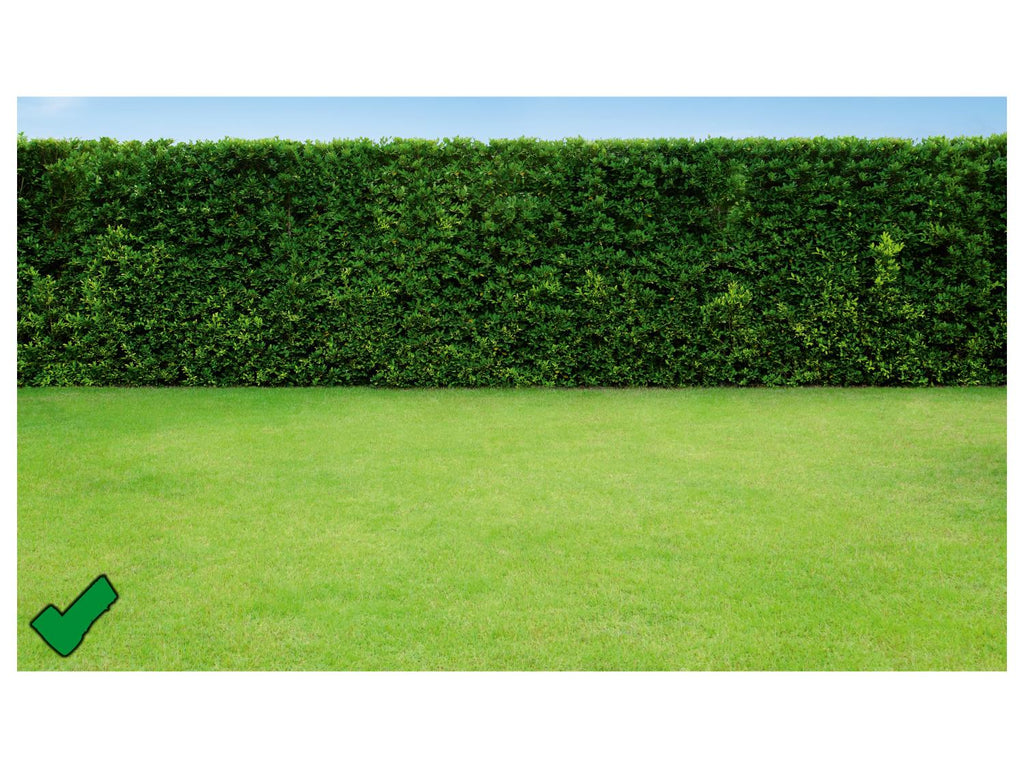 PARKSIDE PERFORMANCE Tondeuse robot Smart & Free PPAMR 1250 A1, 1250 m, 20 V