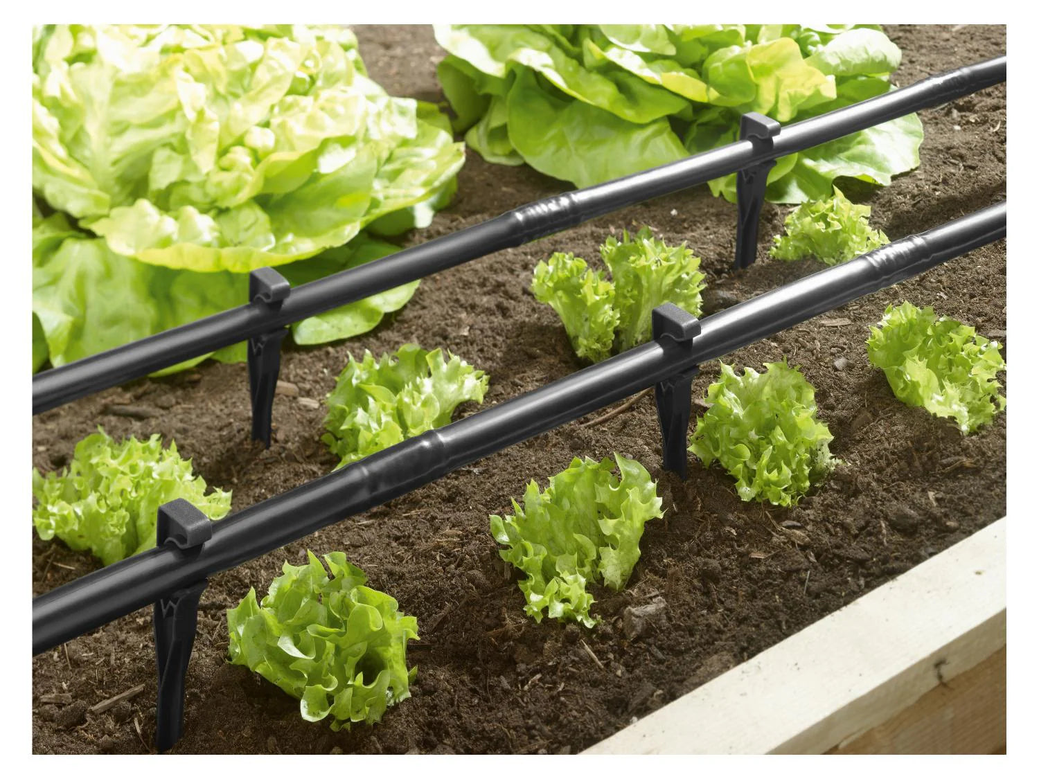 PARKSIDE Set d'arrosage goutte--goutte