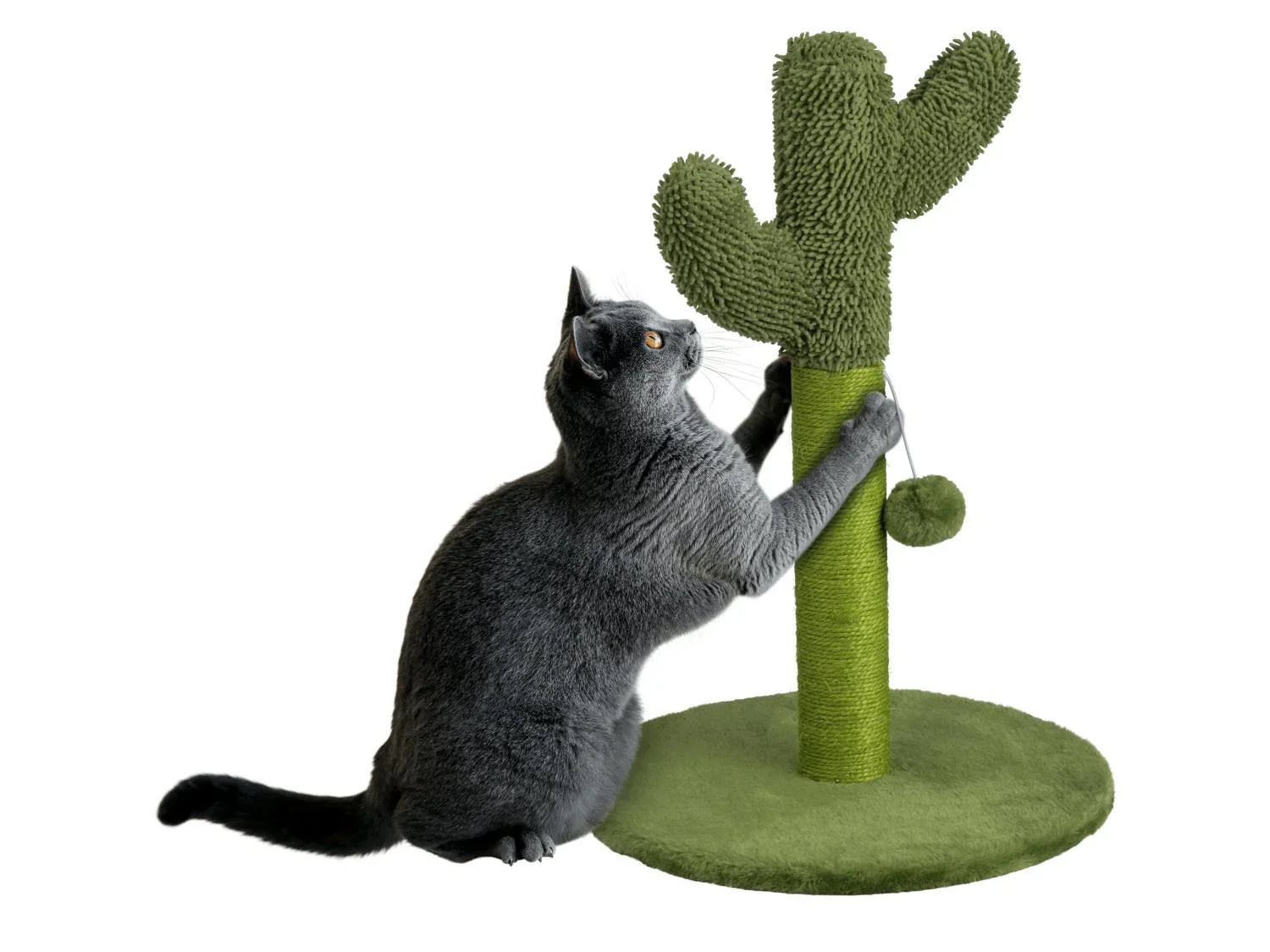 zoofari Arbre  chat, 54 x  38 cm
