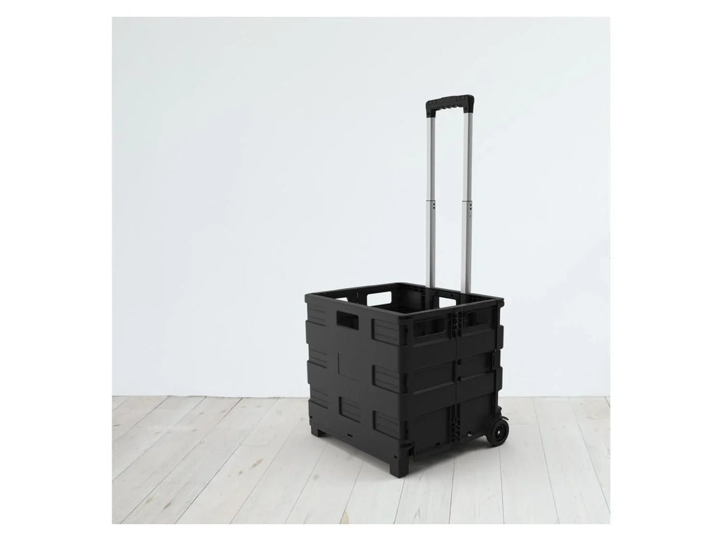 LIVARNO home Caisse de transport  roulettes