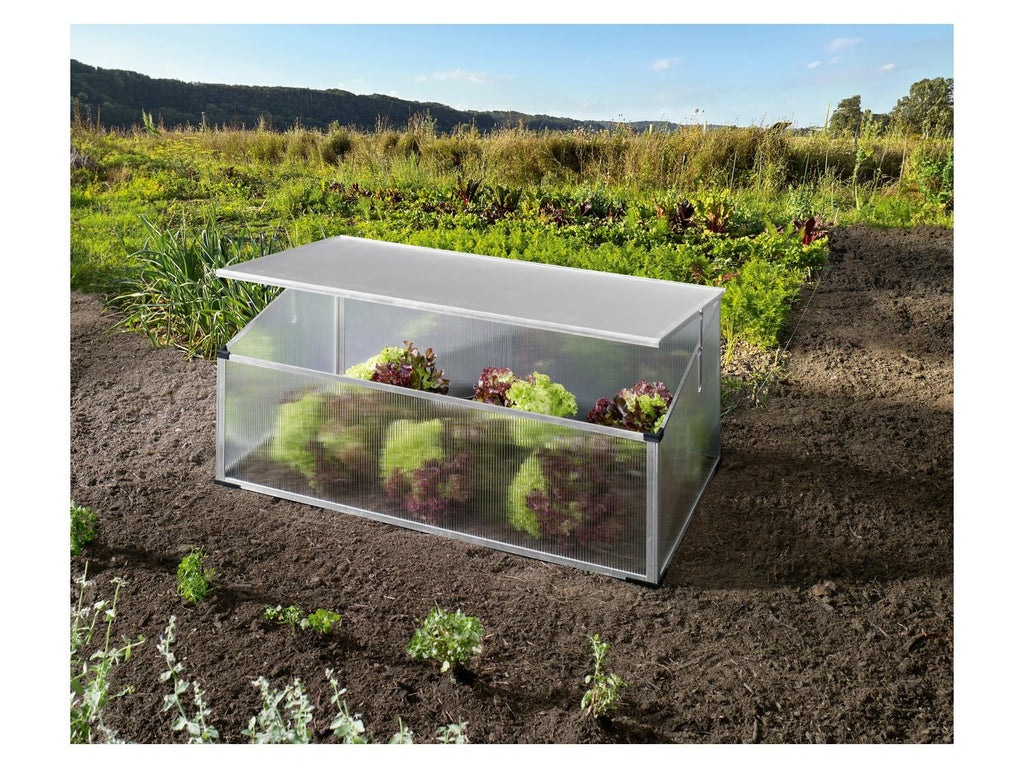 PARKSIDE Mini-serre de jardin, 100 x 30/40 x 60 cm, 0,2m