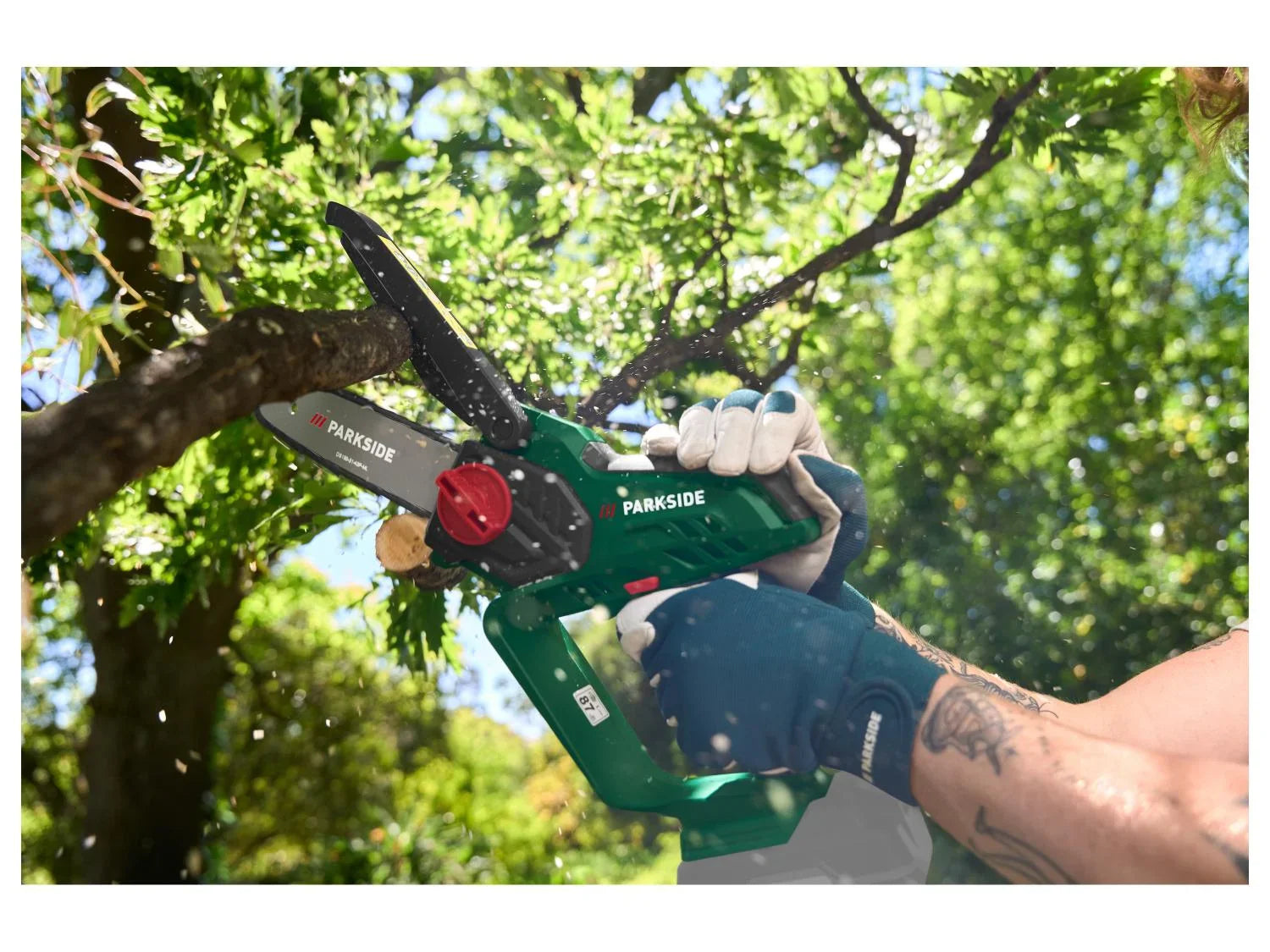 PARKSIDE Mini-trononneuse  bois sans fil PAGHS 20-Li C4, guide 17,7 cm, 20 V