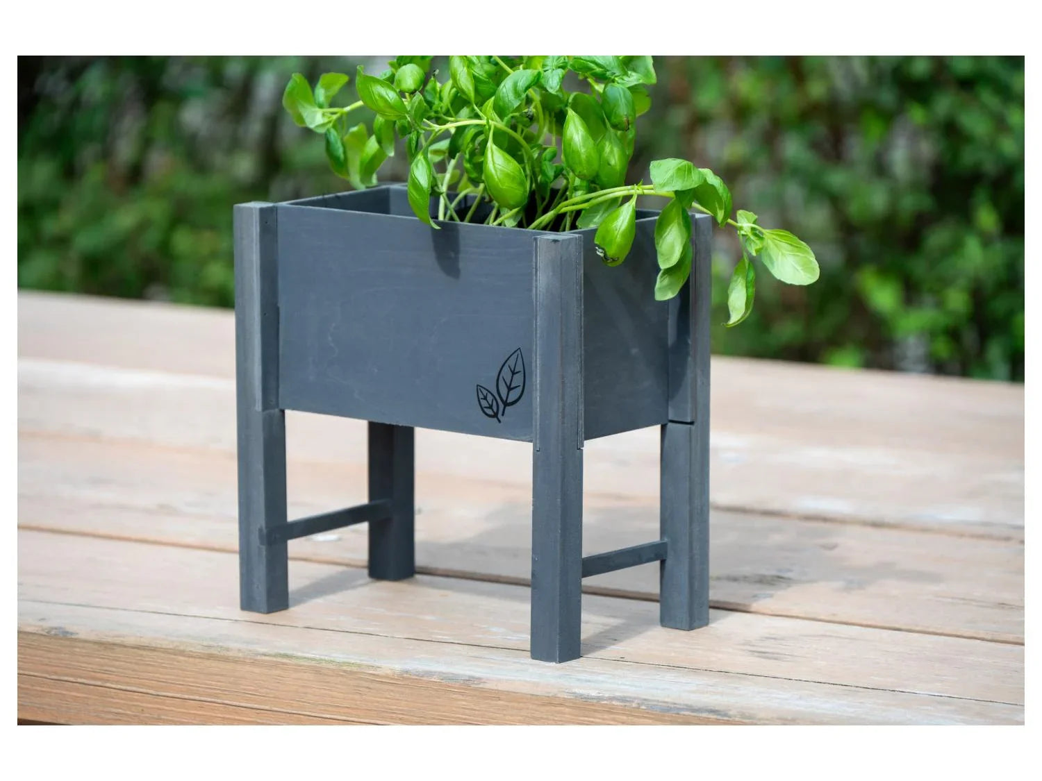 dobar Parterre surlev pour herbes, 24 x 14 x 24 cm