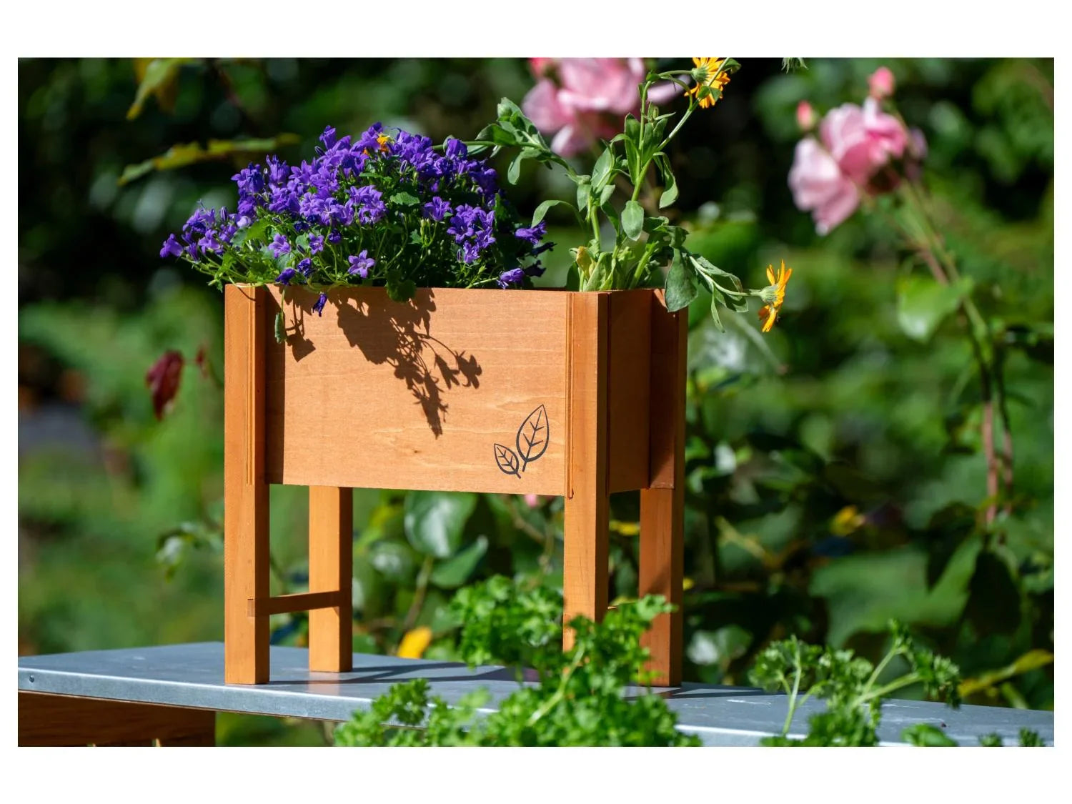 dobar Parterre surlev pour herbes, 24 x 14 x 24 cm